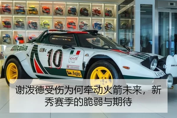 谢泼德受伤为何牵动火箭未来，新秀赛季的脆弱与期待
